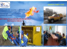 Securitate-si-sanatate-Leșan-Vasile-Ștefan-Vodă